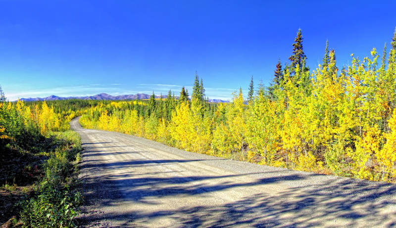 Fall colours, Robert Campbell Hwy, Faro, Yukon